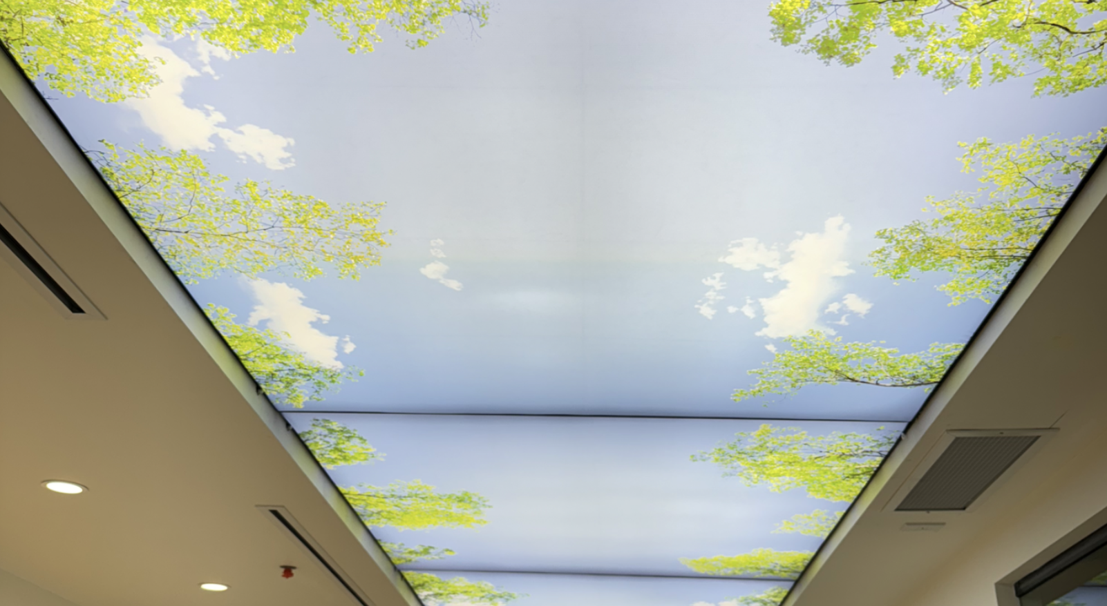 Backlit ceiling boxes at Rockyview Hospital Prostate Cancer Centre
