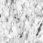 kanvazz Hallucinations Aquarelle