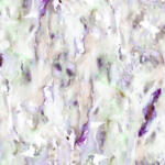 kanvazz Hallucinations Aquarelle