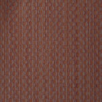 Kanvazz Lenok bruschetta