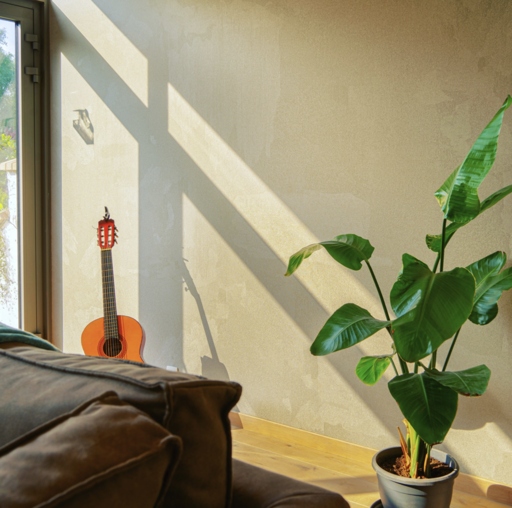 Sunshine kanvazz wall cover