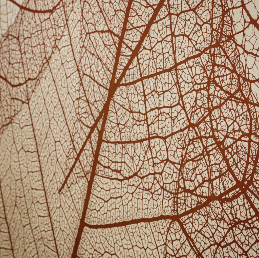 Web kanvazz wall cover