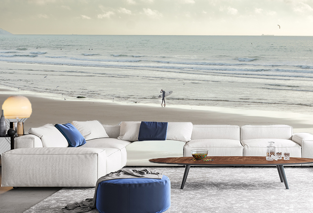 kanvazz ara beach boy