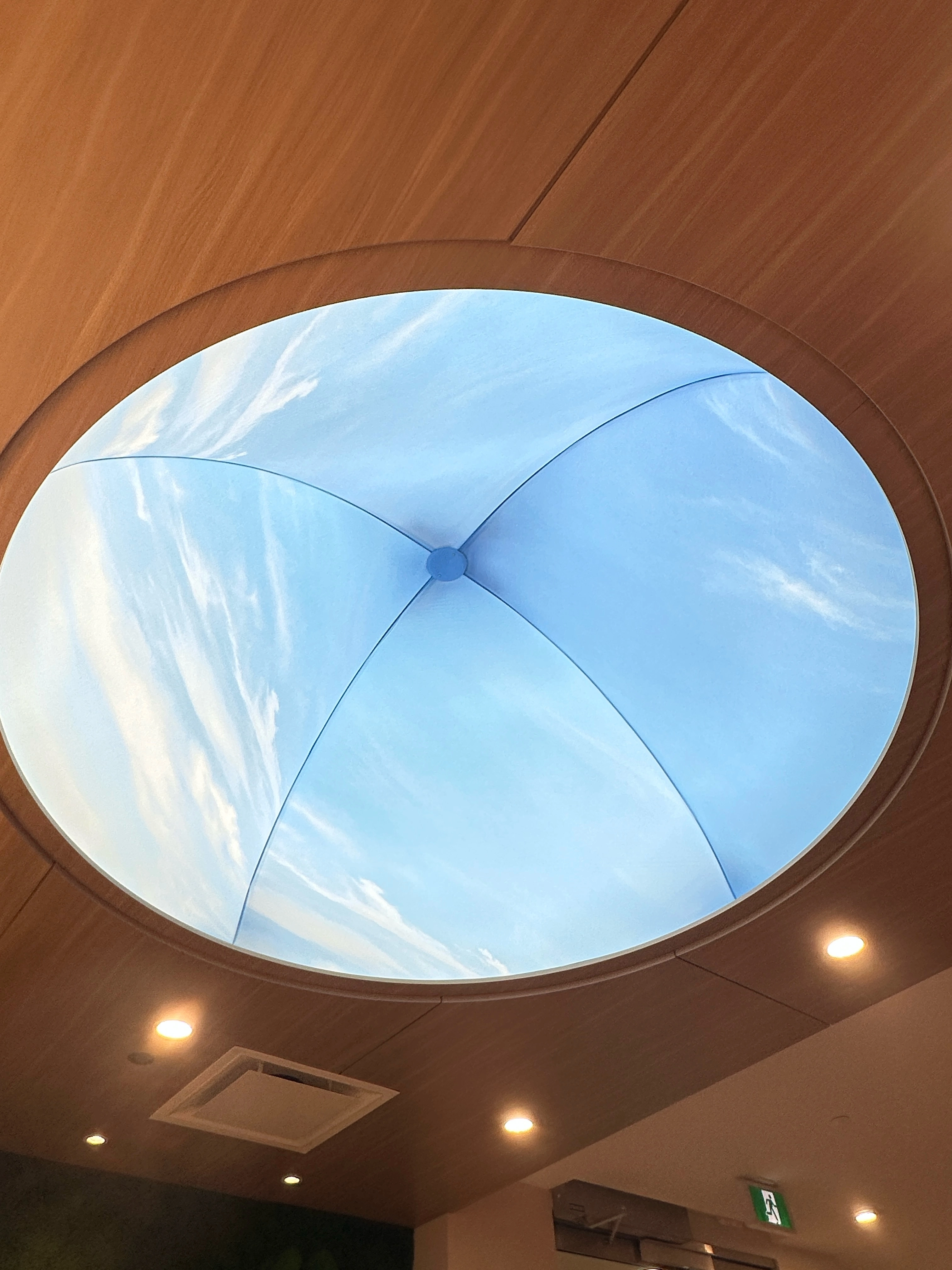 Completed architectural dome luminaire at the Church of Jesus Christ of Latter-day Saints project in Calgary